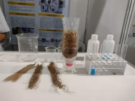 Caraíbas: Jovens baianas utilizam fibra da palma para desenvolver filtro de baixo custo