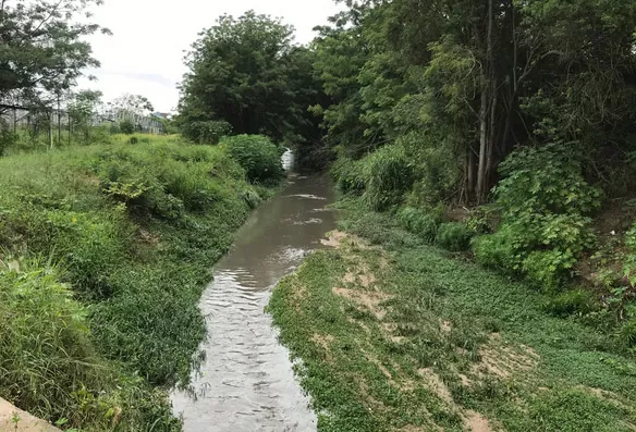 Município de Vitória da Conquista e Embasa devem despoluir rio e proteger reserva ambiental