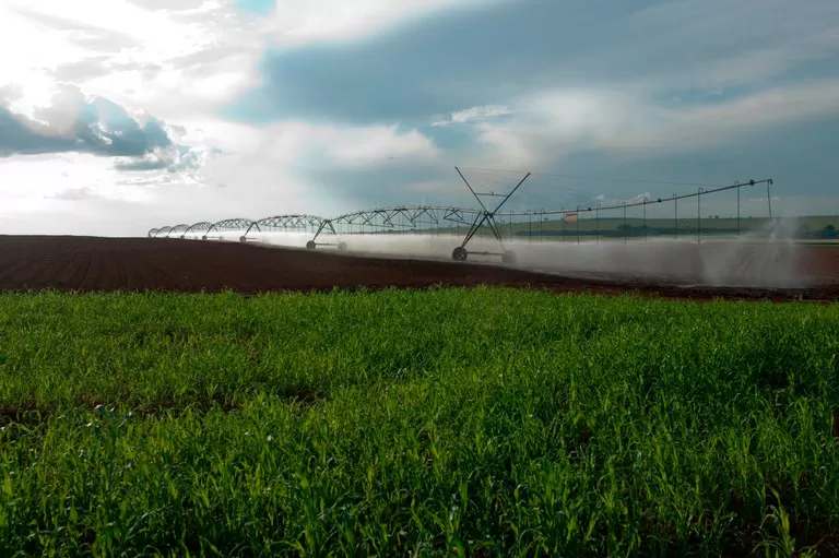 BNDES anuncia mais R$ 3 bilhões para crédito pelo Plano Safra