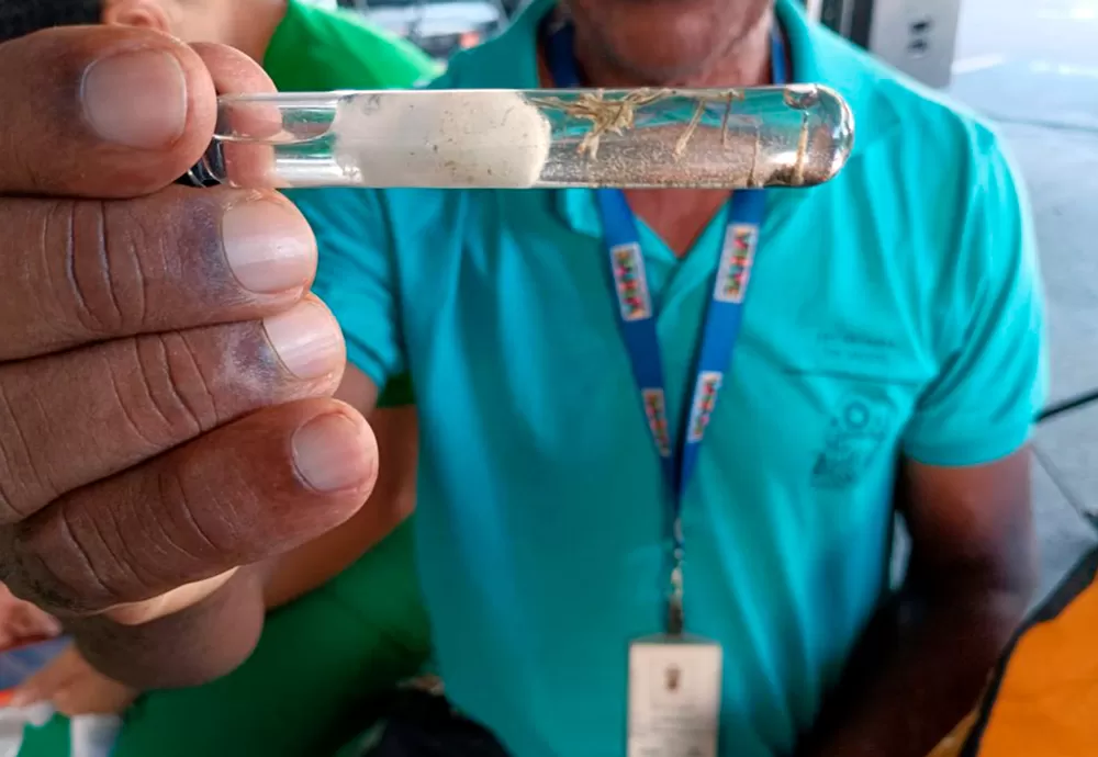 Vitória da Conquista registra novo óbito por Dengue apesar de recomendações estaduais para ampliar atendimento