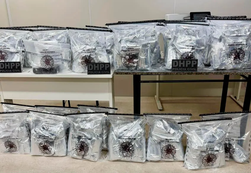 Polícia Civil apreende 80 kg de cocaína durante operação na BR-116