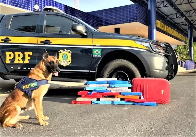 PRF na Bahia registra aumento de quase 150% nas apreensões de cocaína em 2022