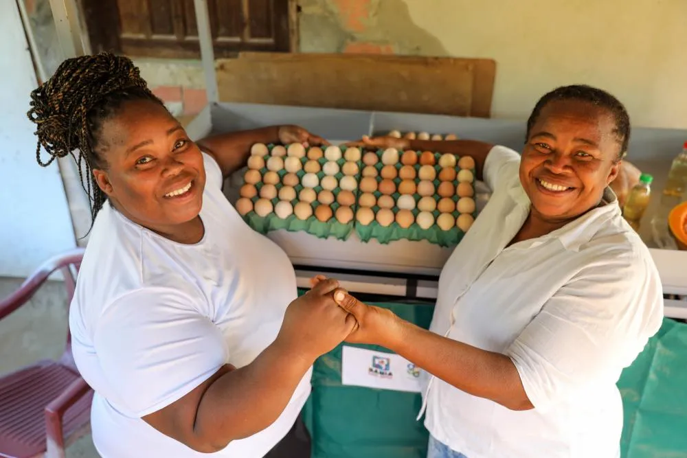 Produção de ovos atinge recorde na Bahia com apoio à agricultura familiar