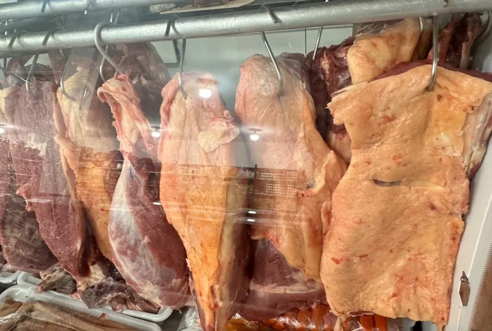 Abate clandestino é praticado em quase um terço dos municípios baianos