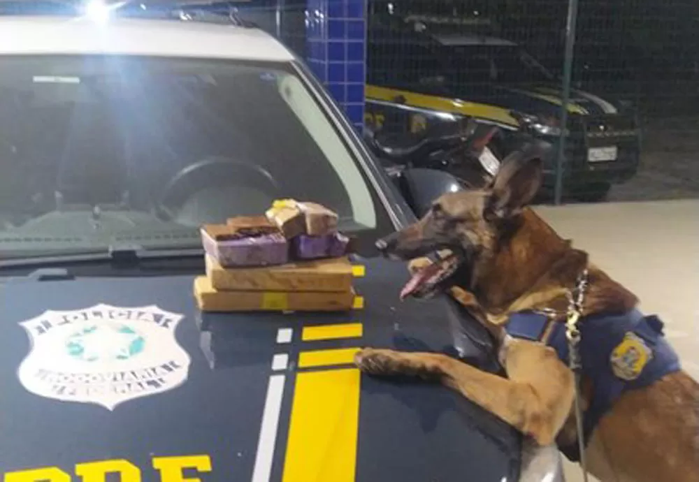 PRF apreende aproximadamente 3 kg de maconha na mochila de passageiro