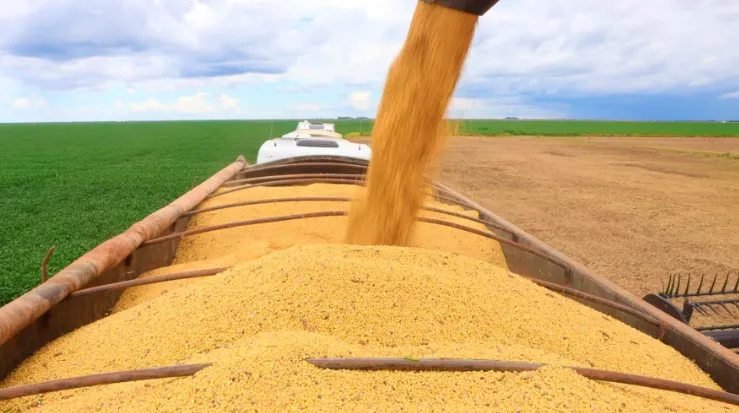 Economia baiana cresce 3,2% no primeiro trimestre de 2025