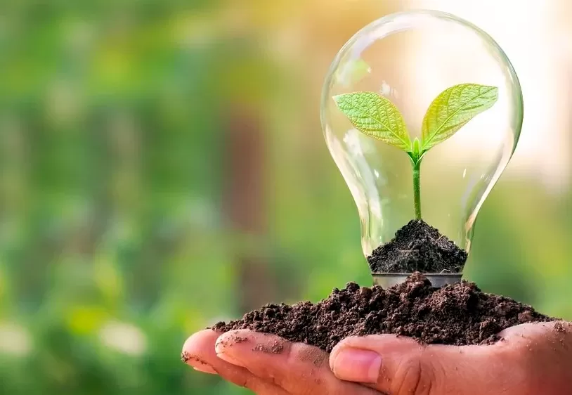 BNDES e Governo da Bahia iniciam parceria para o desenvolvimento da economia verde no estado