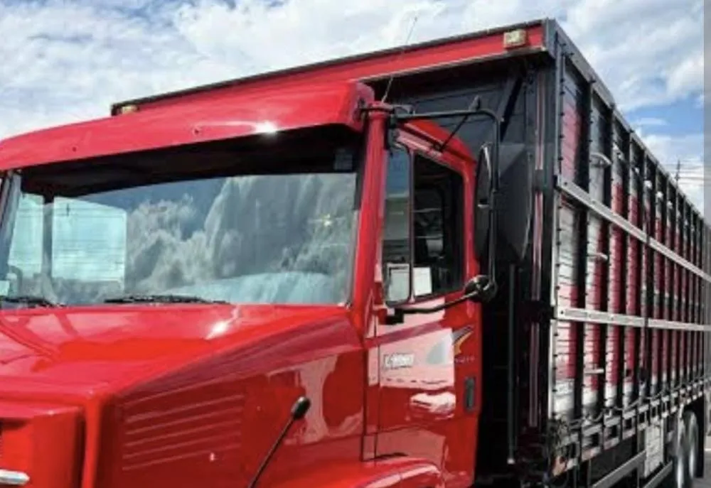 Veículo com transporte irregular de 44 bovinos é apreendido pela Polícia Rodoviária Estadual em Tanhaçu