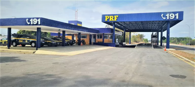 Canários da terra são encontrados aprisionados dentro de mochila na BR 116