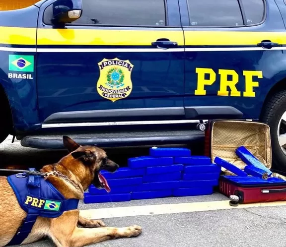 PRF apreende 20 Kg de maconha em ônibus na BR 116 em Vitória da Conquista