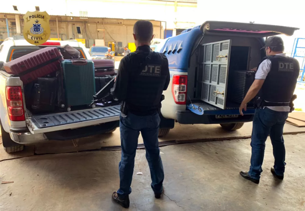 Meia tonelada de droga é incinerada em Vitória da Conquista