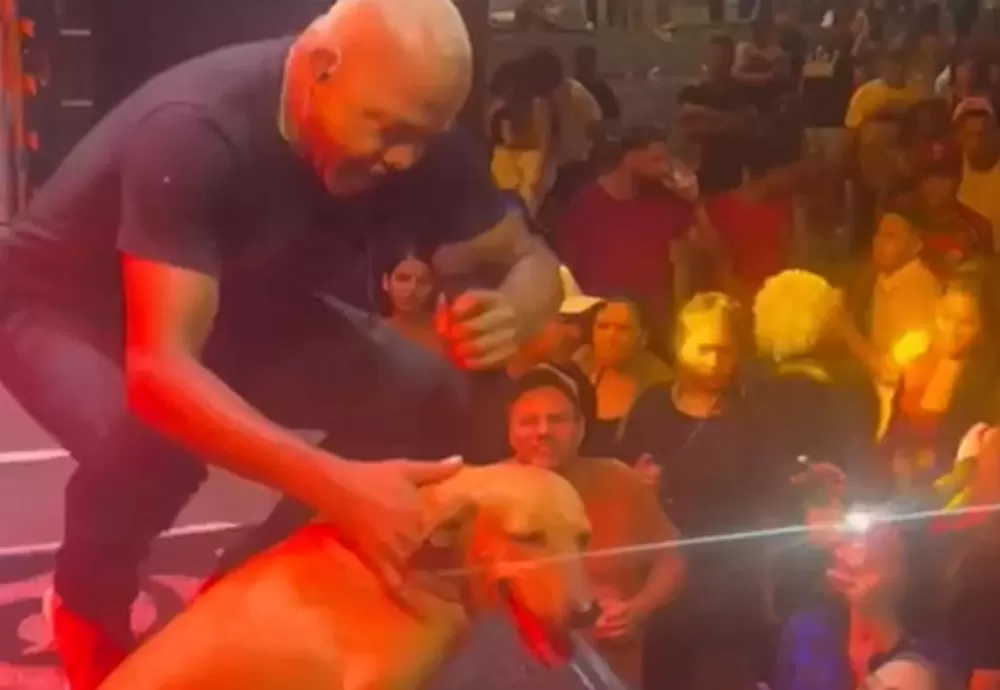 Cachorro de rua rouba a cena durante show de Sinho Ferrary em festa de aniversário de Brumado
