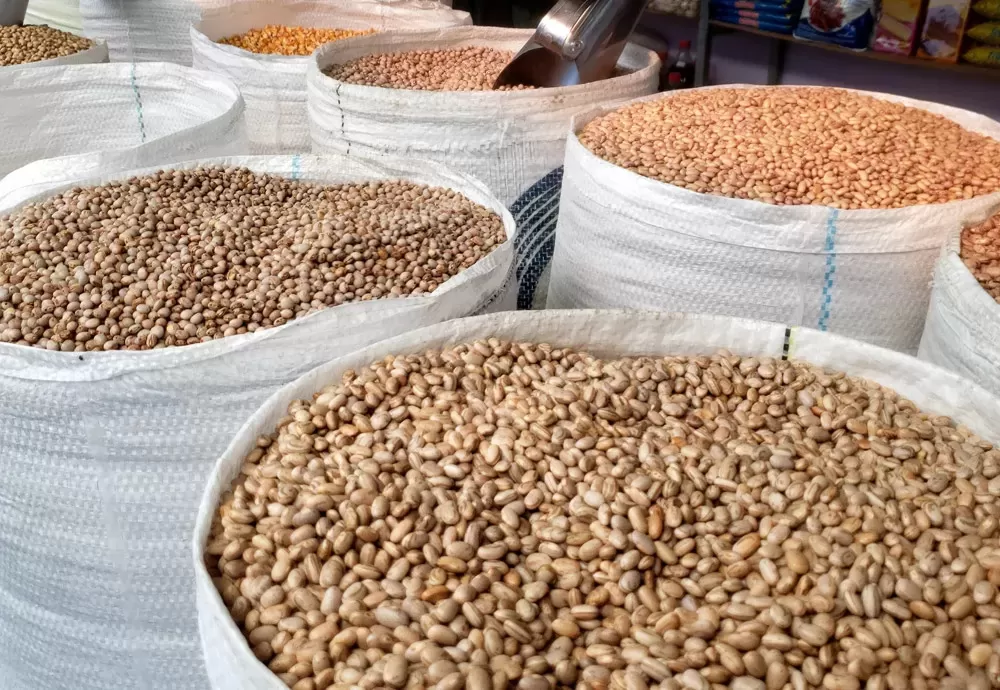 IBGE e Conab apontam recuo na safra de grãos na Bahia, com produção estimada em 11 milhões de toneladas