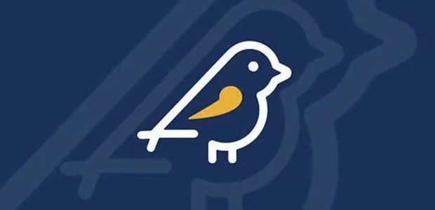 Aplicativo Pardal recebe mais de 4 mil denúncias no 1º fim de semana de campanha eleitoral