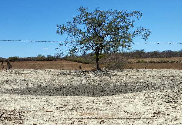 Brumado: prefeitura decreta situação de emergência devido ao longo período de estiagem