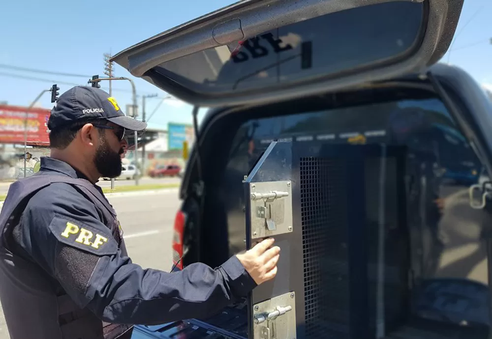 Em Vitória da Conquista (BA), PRF cumpre mandado de prisão contra agressor de mulher