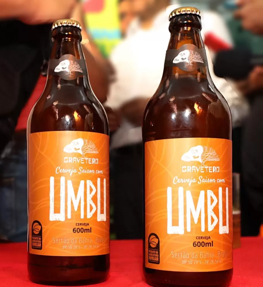 Cerveja de Umbu produzida pela agricultura familiar da Bahia será distribuída para todo o Brasil, em parceria com a Ambev