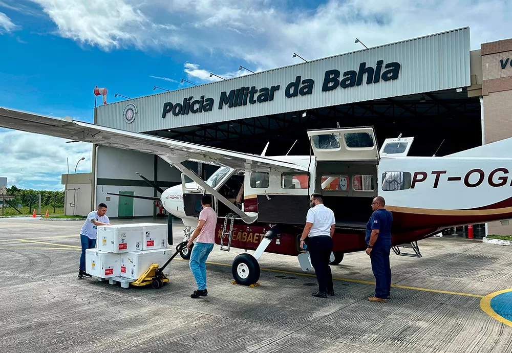 Municípios começam a receber vacinas contra dengue nesta terça-feira após redistribuição