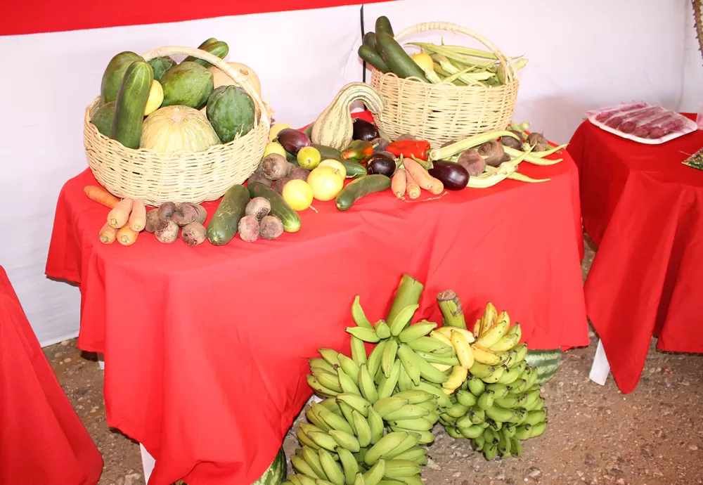 Sancionada lei que fortalece financiamento para agricultura familiar