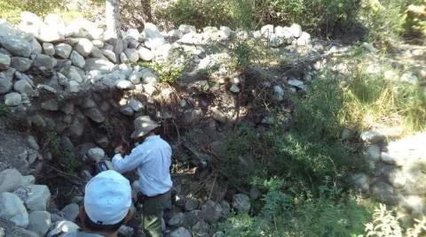 Leilão de Diamantes de Santo Inácio, na Bahia, visa contribuir com desenvolvimento econômico da região e do país