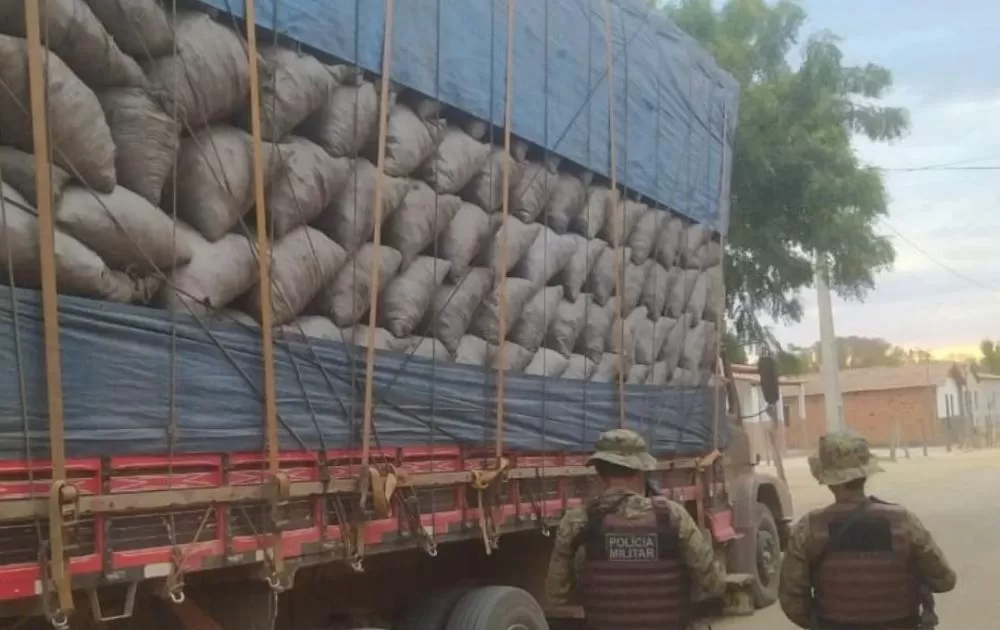 Cippa de Lençois apreende 18 toneladas de carvão ilegal em Carinhanha