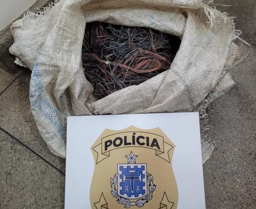 Brumado: Polícia Civil prende homem furtando peças de um veículo apreendido