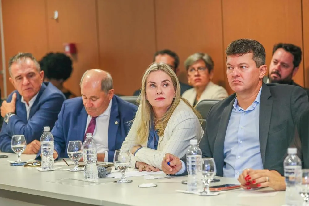 Sugestão de Ivana Bastos é aprovada e agronegócio do Oeste terá nova reunião com o governo em 15 dias
