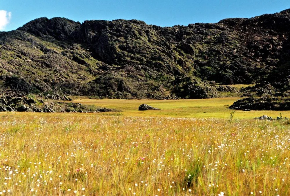 Chapada Diamantina sedia Semana da Mata Atlântica 2025 com ações em Mucugê e Lençóis