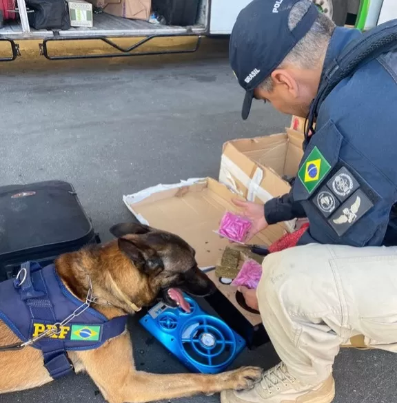 PRF apreende drogas escondidas dentro de caixa de som em Vitória da Conquista