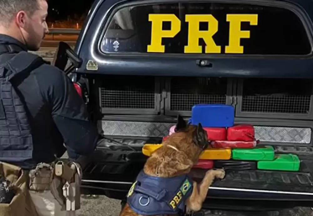 PRF realiza apreensão de mais de 15 Kg de cocaína durante a Operação Cão de Faro VI