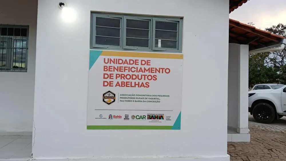 Com agroindústria requalificada, apicultores de Anagé miram novos mercados com a produção de mel