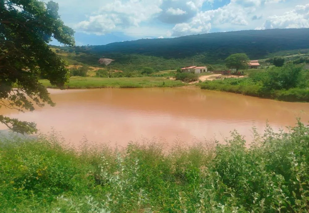 Jovem de 19 anos morre após afogamento em comunidade rural de Dom Basílio