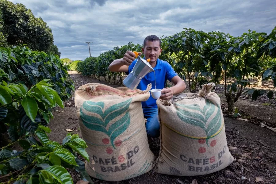Dia Mundial do Café: investimentos na produção geram impactos positivos na qualidade do café e na economia da Bahia