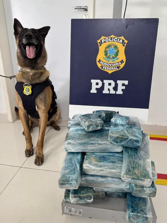 Em Vitória da Conquista (BA), PRF apreende 26 kg de maconha
