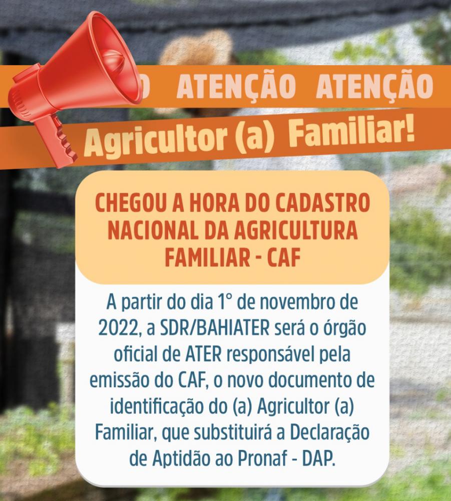 Cadastro Nacional da Agricultura Familiar passa a substituir a DAP