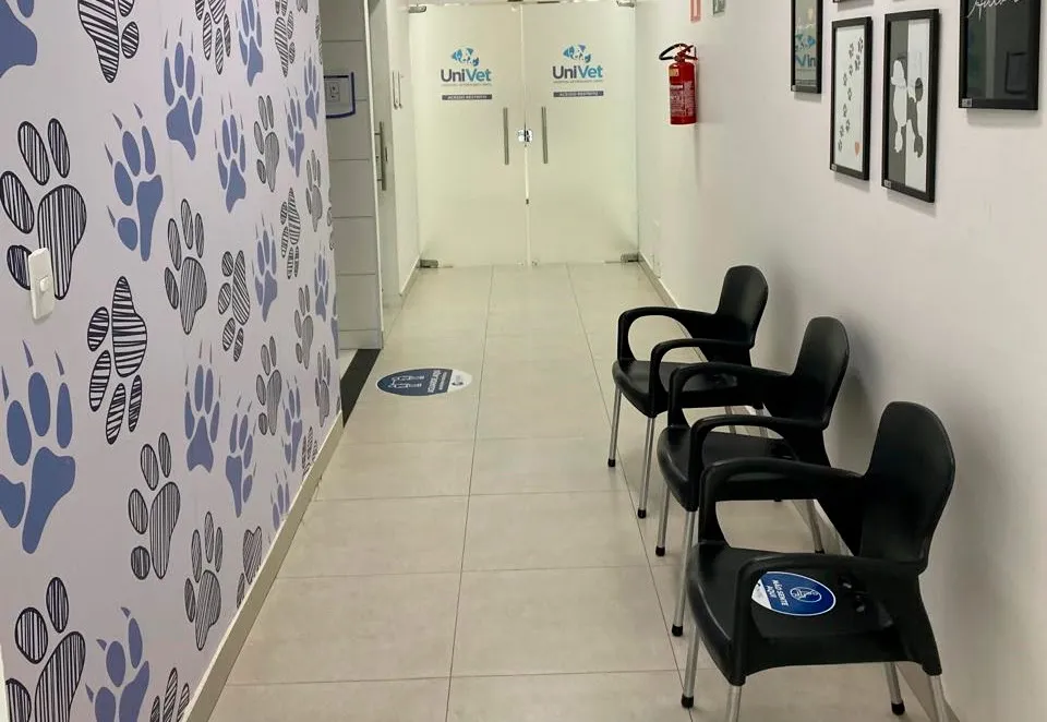  Centro Médico Veterinário da UniFG completa 5 anos de atuação com mais de 5 mil animais atendidos