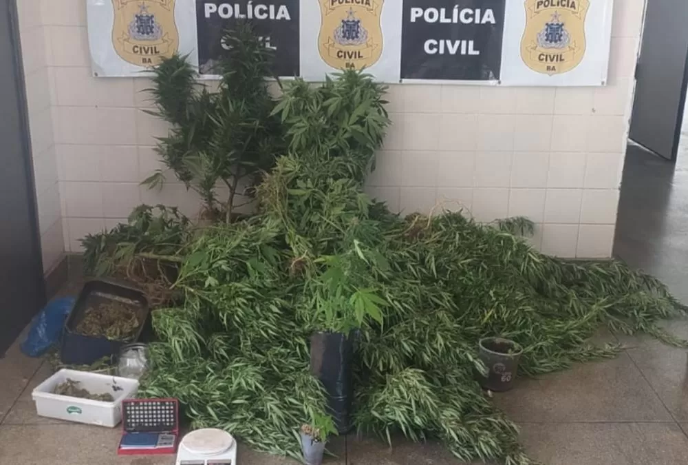 Rio de Contas: Homem é preso acusado de tráfico de drogas