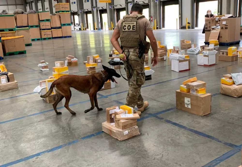 Drogas avaliadas em R$ 1 mi são apreendidas nos Correios