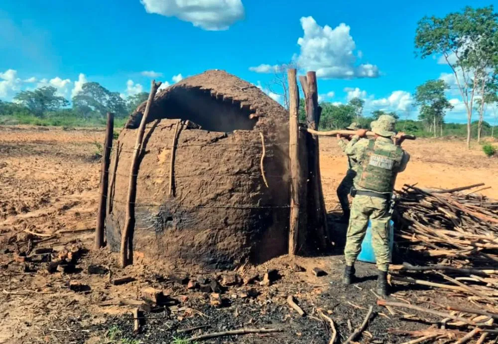 Polícia destrói fornos clandestinos de carvão na zona rural de Carinhanha