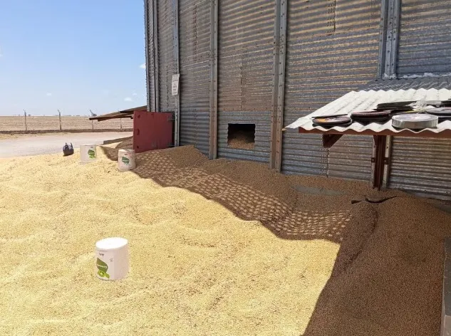 Trabalhador morre e outro fica ferido após acidente em silo de soja em Luís Eduardo Magalhães