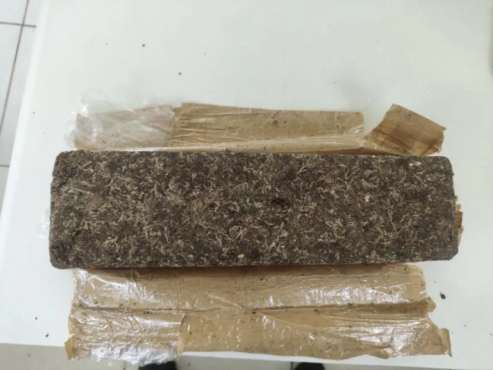 CIPRv/Brumado apreende entorpecente durante fiscalização em ônibus de turismo