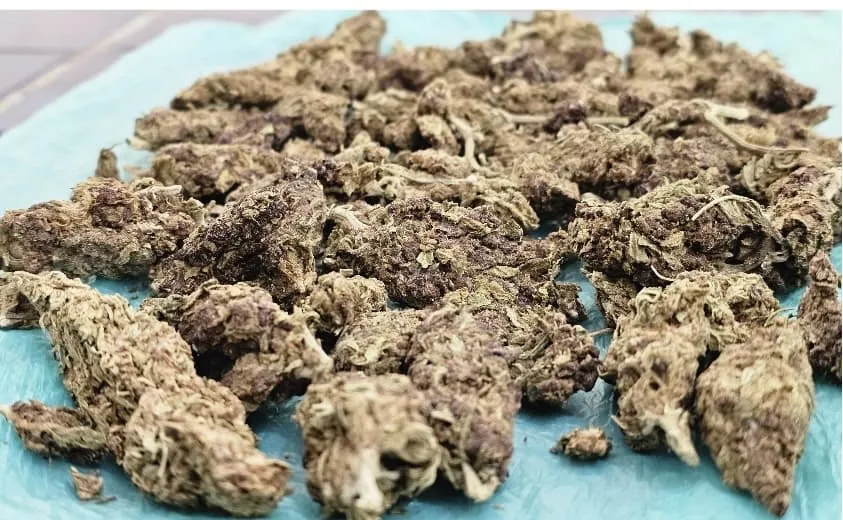 Polícia Rodoviária encontra maconha em veículo durante Operação Festival de Inverno Bahia