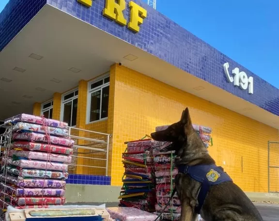 PRF apreende 53 Kg de maconha durante abordagem a ônibus em Vitória da Conquista