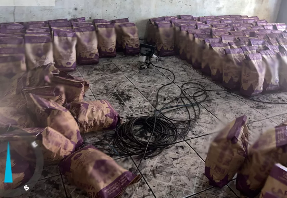 Cippa apreende quase 12 toneladas de carvão ilegal