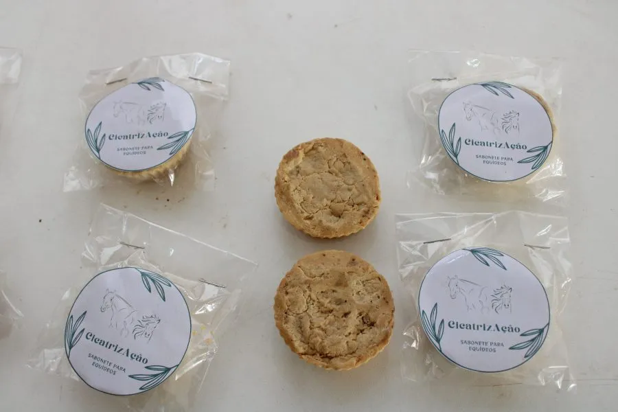 Estudantes desenvolvem sabonete cicatrizante para animais a partir de babosa, mel e açafrão