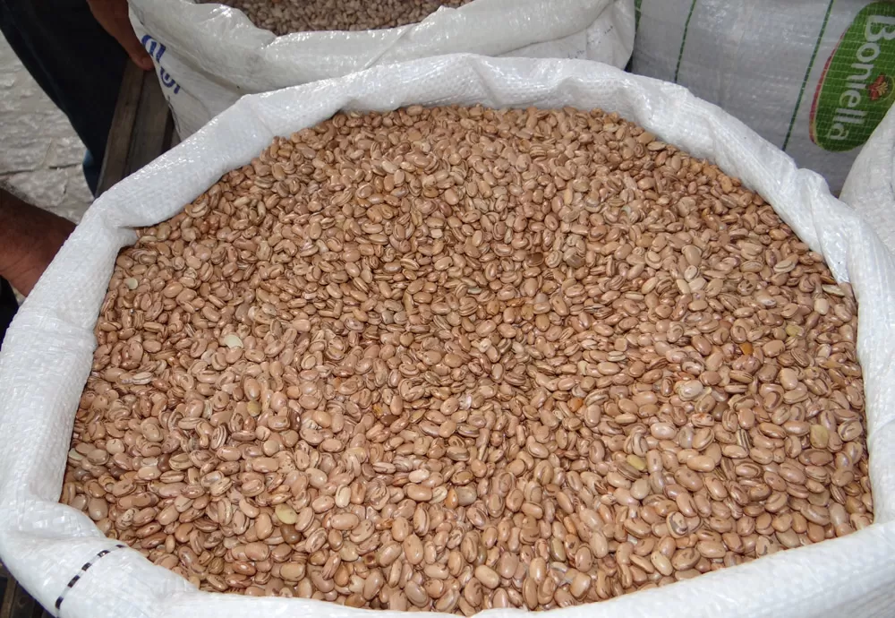 Produção baiana de grãos mantém previsão de 11,0 milhões de toneladas em 2023   