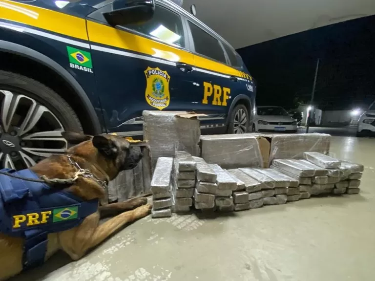 Flagrante na BR 116: PRF apreende tabletes de maconha que seriam comercializados em cidade do interior da Bahia