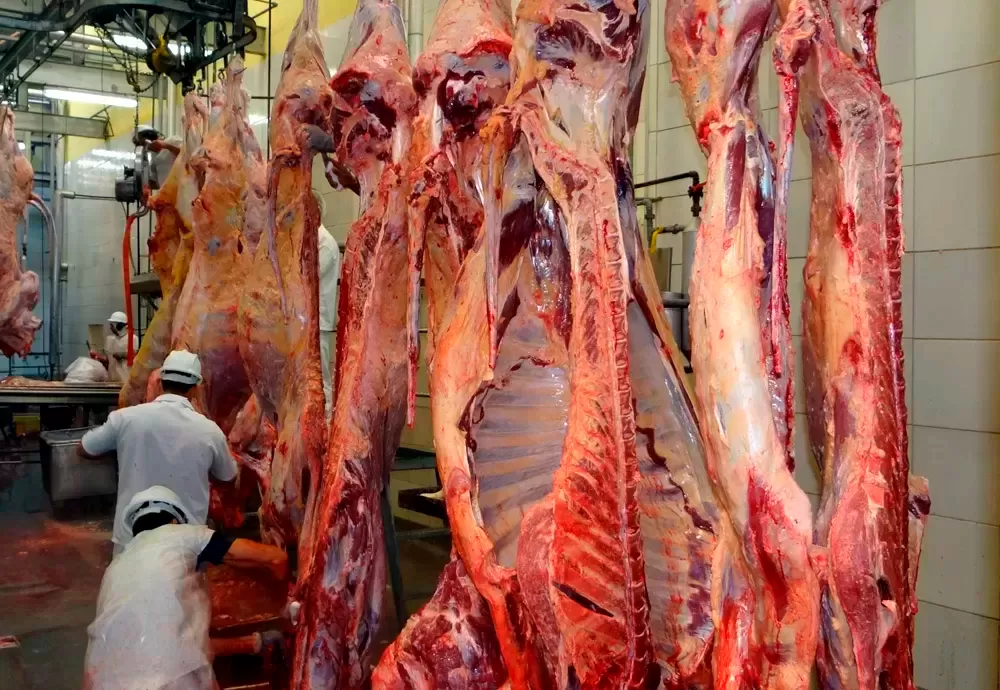 Habilitação de 38 novas unidades de produção de carne amplia exportações do Brasil para a China