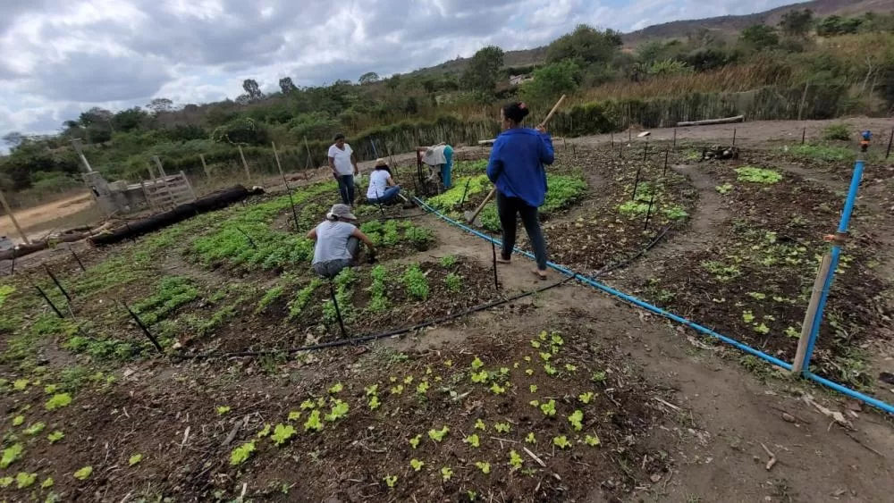 Por meio da CAR, Sudoeste Baiano avança no desenvolvimento econômico a partir do rural