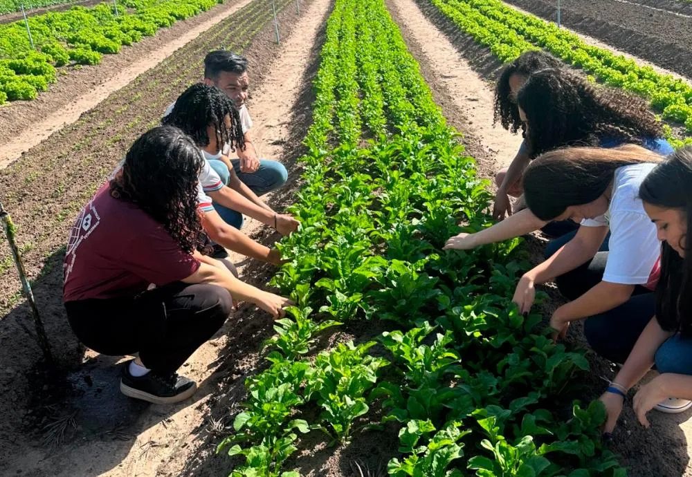 Jovens cientistas de Barra da Estiva desenvolvem pré-treino natural a partir da beterraba
